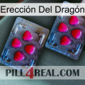 Erección Del Dragón 14